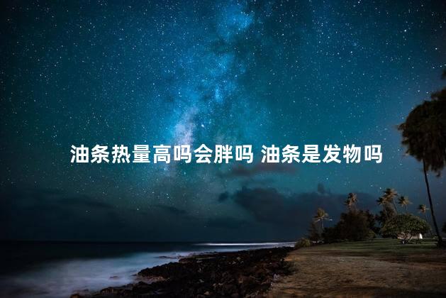 油条热量高吗会胖吗 油条是发物吗